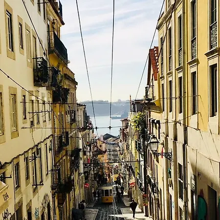 Rouge In The Heart Daire Lisboa